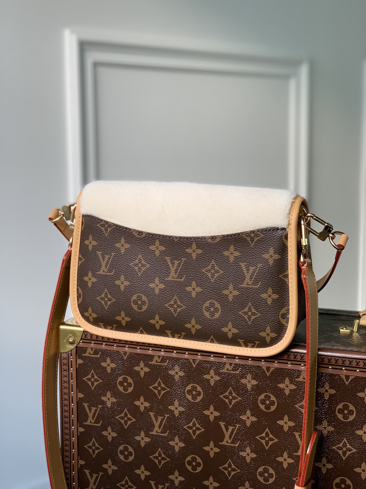 LV Satchel bags